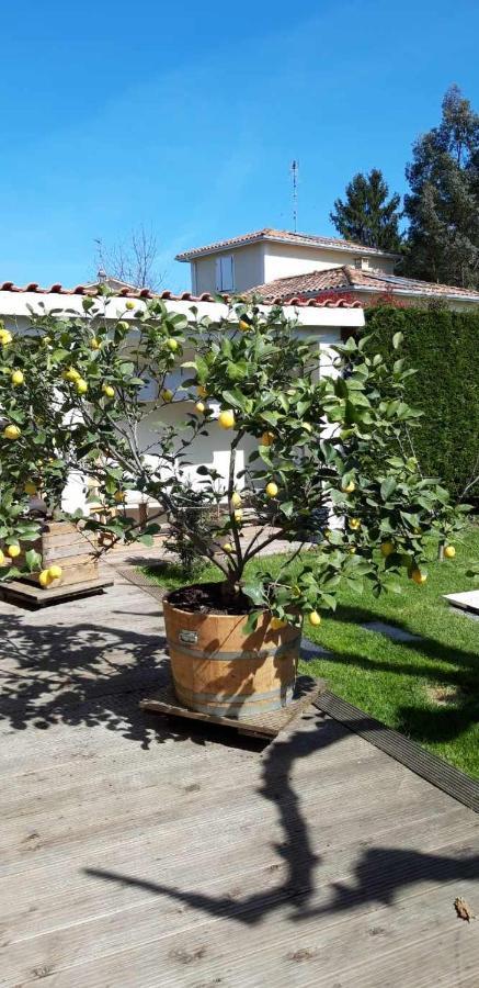 Fronsac  Chez Jeanfi B&B 외부 사진