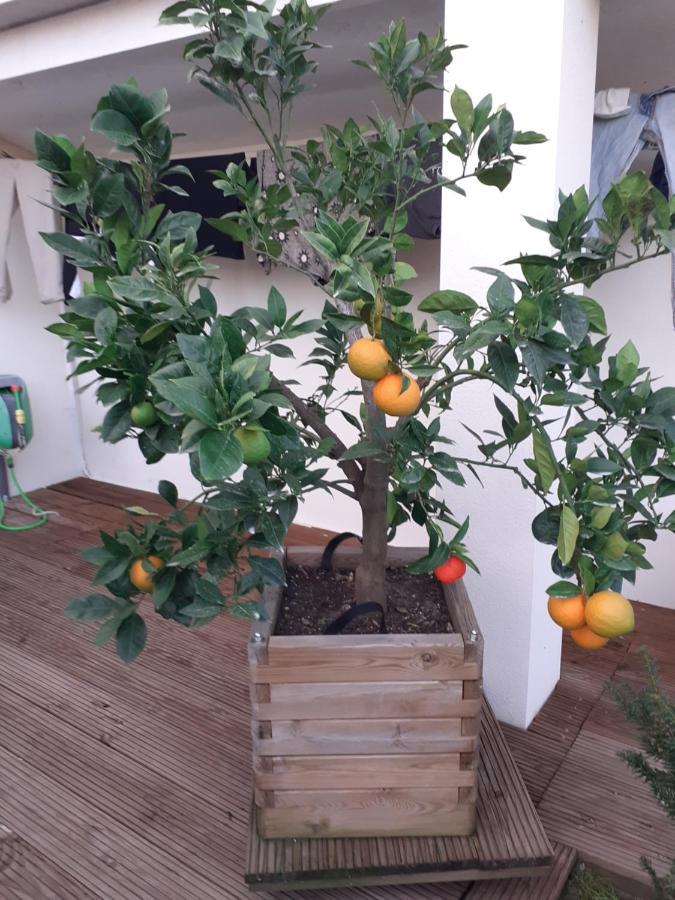 Fronsac  Chez Jeanfi B&B 외부 사진